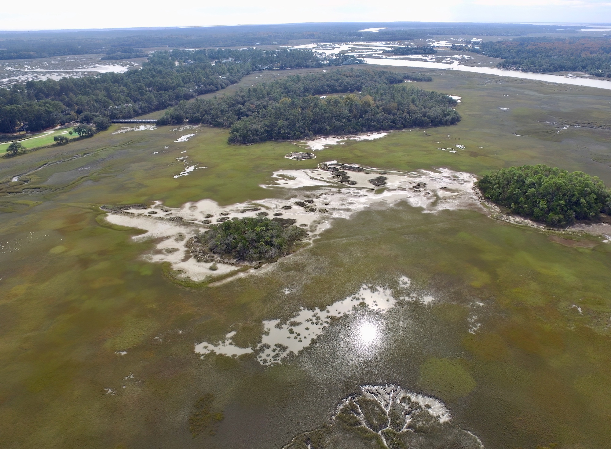 Oak Island - Dataw Historic Foundation